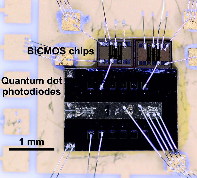 Department Physik Detail Ultrafast optoelectronic sampling with