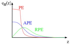Figure 4: Schematic concentration profiles during RPE process steps